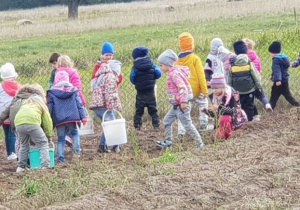 Dzieci zbierające ziemniaki.