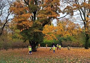 Jesienny park. Dzieci biegają między drzewami