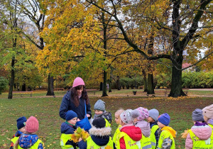 Dzieci zbierają w parku jesienne skarby do kącika przyrody.